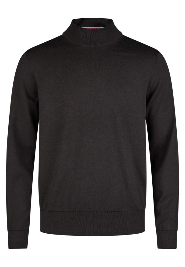 Hechter turtleneck sweater